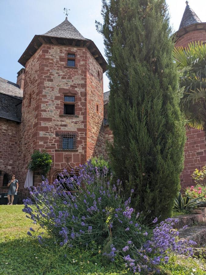 Chateau De Vassinhac Chambres D'Hotes Collonges La Rouge Exterior photo